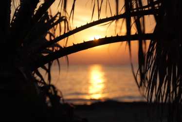 Transfer, Transfer Pafos Lotnisko - Chloraka (dowolny hotel) 4-8 osób