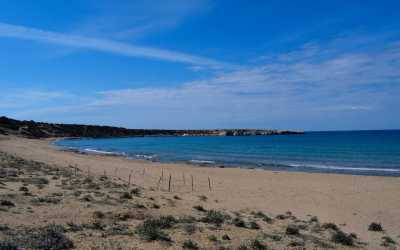 Wycieczka fakultatywna, Wycieczka na plażę Lara Beach i kanion Avakas z Pafos