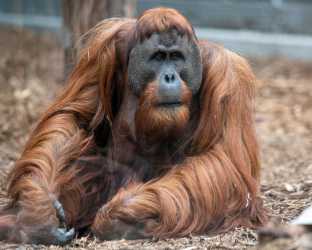 Wycieczka jednodniowa, Orientarium i  Mandoria  - miasto przygód. Jednodniowa wycieczka szkolna